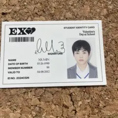 EXO XIUMIN 2024年シーグリ トレカ