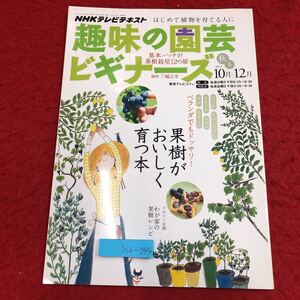 S6i-044 NHK 趣味の園芸ビギナーズ 基本バッチリ！果樹栽培12の扉 2011年10月-12月号 2011年9月21日 発行 NHK出版 雑誌 園芸 果樹 レモン