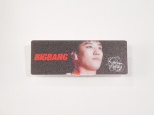 韓国 K-POP☆BIGBANG ビックバン V.I スンリ☆ホワイトアクリルネームバッチ　名札　B-83