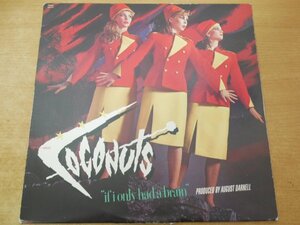 R5-008＜12inch/US盤/美盤＞The Coconuts / If I Only Had A Brain