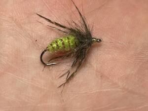 カディス・イマージャー　チャート　#14 Caddis Emerger 3本セット