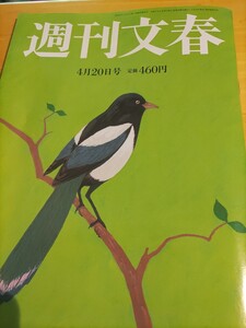 週刊文春　2023年4月20日　中古本　送料込み　ジャニーズ事務所