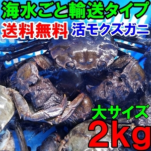 活モクズガニ 大サイズ２kg(目安9-15杯)ツガニ つがに 配送地域限定品(四国中国九州沖縄は不可能です) 他に小中サイズも出品中 もくずがに