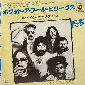 The Doobie Brothers What A Fool Believes ドゥービー ブラザーズ Steamer Lane Breakdown 7inch 7インチ 45 EP 国内盤 Aretha Franklin