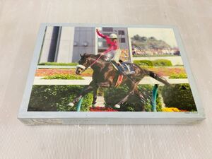 1s53 必見! ナリタブライアン 1000ピースパズル　馬 競馬 未使用品 保管品 