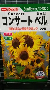 ３袋セット コンサートベル 房咲 ひまわり 向日葵 種 郵便は送料無料