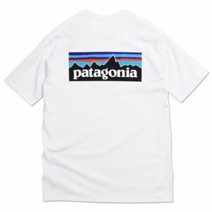 patagonia Tシャツ P-6 LOGO RESPOSIBILI-TEE 38504 半袖　ホワイト　 XLサイズ パタゴニア