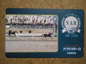 I252B・アブクマポーロ 川崎競馬場 競馬 テレカ