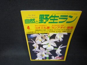 自然と野生ラン1997年4月号　コオズの礼讃/カンアオイ/錦蘭　/PDA