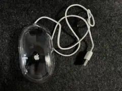 Apple Mac pro mouse