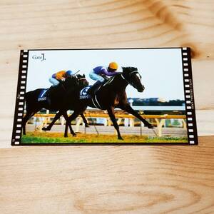 スペシャルウィーク　ジャパンカップ　JC　名勝負カード　Gate J.　プラザエクウス　JRA　競馬　非売品　①