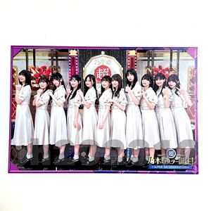 《乃木坂46》公式グッズ 超・乃木坂スター誕生！LIVE開催記念 ポストカード 1点 井上和 菅原咲月 池田瑛紗 五百城茉央(生写真× 集合