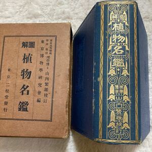 「初版/大正13年」図解植物名鑑 山内繁雄校訂 植物図鑑 函付き　 古書　アンティーク