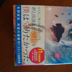 １００年越しの君に恋を唄う。 （スターツ出版文庫　Ｓふ１－４） 冬野夜空／著