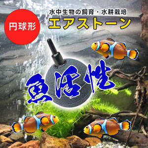 エアー ストーン 球 型 空気 石 水槽 釣り 用 メダカ 金魚 錦鯉 水耕栽培 酸素 バブル 静音 直径 50 mm グレー 20個 セット