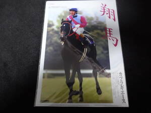 JRA ヒーロー列伝No.18 カツラギエース クリアファイル 新品未開封 2016年来場ポイント