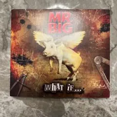 MR.BIG WHAT iF…