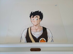 DRAGON BALL　孫悟飯　セル画　直筆動画　検　鳥山明　ドラゴンボール