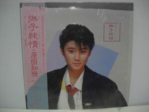 ◇原田知世 / 撫子純情 / 帯付きLP 透明レコード ◇