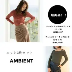 【超美品】Ambient ニット(2枚セット )トップス　長袖　レディース