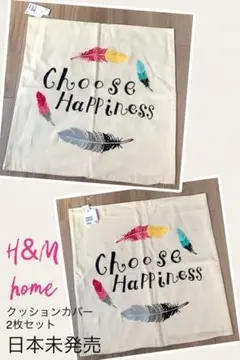 H&M HOME クッションカバー 日本未発売 大判 フェザー 刺繍 羽