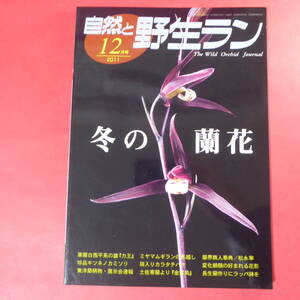 YN4-241219☆自然と野生ラン 2011年12月号　寒蘭 ミヤマムギラン キツネノカミソリ 富貴蘭 長生蘭 カラタチバナ 朝顔　※ 園芸JAPAN