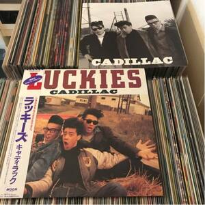 CADILLAC 帯付LP LUCKIES ロカビリー 原宿 ローラー