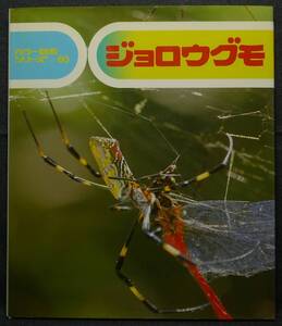 【超希少】古本　ジョロウグモ　カラー自然シリーズ６０　監修：東亜蜘蛛学会　名誉会員　萱嶋泉　文・写真：難波由城雄　(株)偕成社