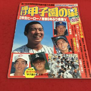 b-665 ※14 輝け甲子園の星 日刊スポーツグラフ増刊 1995夏の大会号 2年生ヒーロー！帝京6年ぶり感動V 日刊スポーツ出版社