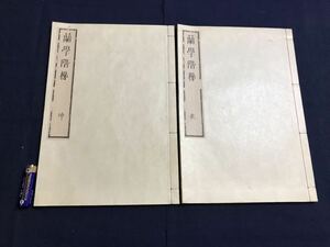 蘭学階梯　2冊　検　お経写経写本唐本漢籍和本和書中国支那仏教真言密教密宗古本古書古文書漢詩漢文易学周易拓本医学漢方朝鮮