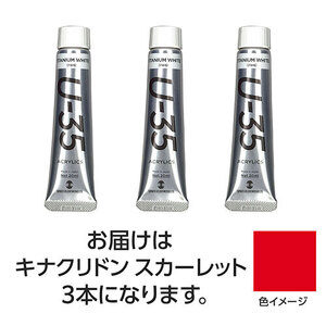 【3本×3セット】 ターナー色彩 U35 キナクリドンスカーレット20ml TURNER108646X3 /l