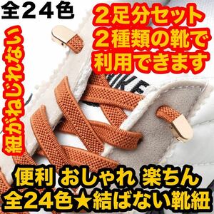 ２足分セット(４本)伸びる 結ばない靴ひも 靴紐 ゴム ストッパー スニーカー 簡単 解けない 楽ちん 伸びる 便利 24色2