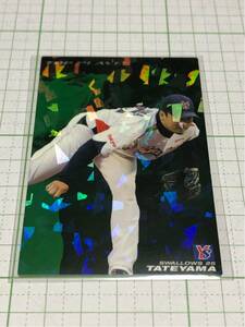 2011 カルビー プロ野球チップス 館山昌平 トッププレイヤーカード TP-19