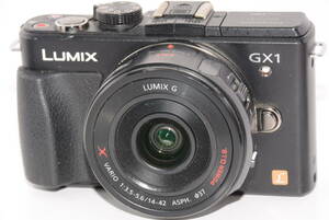【外観特上級】Panasonic LUMIX DMC-GX1 / VARIO 14-42mm F3.5-5.6　#s6007