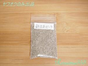 新日本ビーチの砂　ヤフオクのみ出品！　愛知県　Beach Sand　Japan Aichi Prefecture