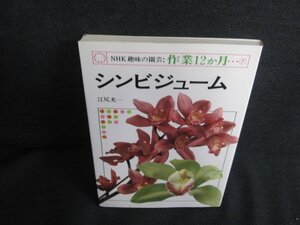 趣味の園芸作業12ヵ月7　シンビジューム　シミ日焼け有/JDL