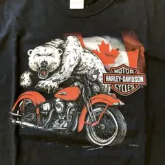 希少⭐︎ Harley-Davidson  ハーレーダビッドソン Tシャツ