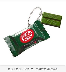 Nestle KitKat ネスレ キットカット ミニチャーム 食品サンプル 本物みたい 濃い抹茶 ガチャ詰めポーチ 受験応援 合格祈願 御守 ジッパー付