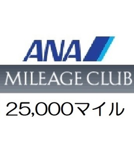 全日空ANA25,000マイル　希望の口座へ加算