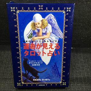 神秘のカードでしあわせになる運命が見えるタロット占い　美堀真利　田口智子　オリジナルカード22枚付き　成美堂出版