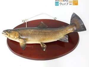 【東京都大田区 店舗渡し限定 Undeliverable】トラウト 剥製 約60cm ジャンク品