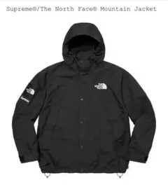 Supreme®/The North Face® マウンテンジャケット