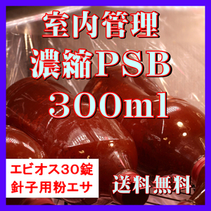 ★送料無料★ 室内管理濃縮培養PSB300ml＋エビオス30錠＋培養説明書＋針子用粉エサ　光合成細菌　水質調整、バクテリア