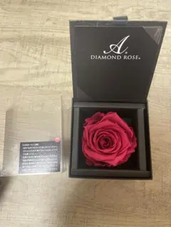 DIAMOND ROSE プリザーブドフラワー