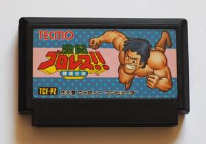 ファミコン 激闘プロレス！！闘魂伝説