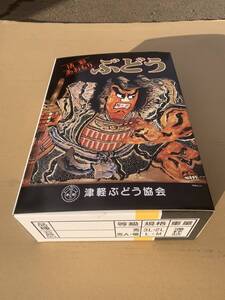 【最終売尽セール中】【送料無料】【秀】青森県津軽地方産ぶどう　つるたスチューベン　約２キロ前後　ご家庭用