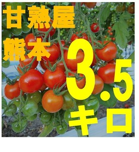 完熟ミニトマト3.5kg