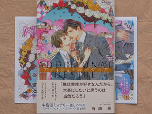 ８月刊■谷崎泉／笠井あゆみ■アディショナルデザイア■小冊子付■幻冬舎