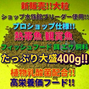 新販売! 400g!! 大粒 餌 たっぷり大盛お徳用 高栄養価フード プロ仕様!! ショップ ブリーダー 熱帯魚 観賞魚 プレコ ディスカス シクリッド