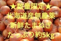 ★数量限定★農薬・栽培期間中不使用北海道産無農薬★新鮮たまねぎたっぷり約5kg